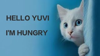 Yuvi ne Banaya New Friend  Cute 🥰 yuvivlogdy cutecat YUVIVLOGDY YouTube [upl. by Ecirahc]