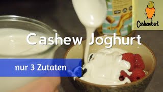 Cashew Joghurt  Super cremig und nur 3 Zutaten [upl. by Sullivan226]