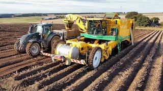 Tatties 2024  Brand New Oxbo 4 Row Harvester [upl. by Waldner715]