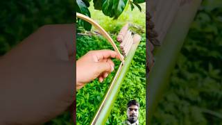 😡😡bamboo satisfying bamboohouse toys handmade bamboogun monkeycomedy archery bamboobamboo [upl. by Winter]