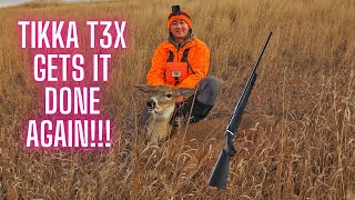 Rifle Deer Hunting Success ft Tikka T3X Lite 308 Win [upl. by Madelin64]