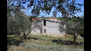 Detached Bungalow of 110sqm with 4000sqm of olives 2 beds 7km to beach with outbuilding [upl. by Nerval]