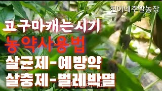 농약 사용법 살균제와살충제 [upl. by Meuser]