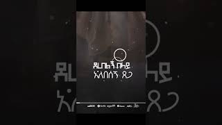 Aster Abebe  NEW ALBUM  Fera Frehateፈራ ፍርሀቴ  Hallelujah ሃሌሉያshorts [upl. by Geof]