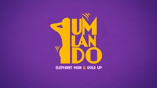 Elephant Man amp Gold Up  Umlando Clean  Extended Intro AUDIO [upl. by Herrick100]