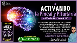 CURSO ONLINE DE ACTIVANDO LA PINEAL Y PITUITARIA INICIA ESTE SAB 19 OCTUBRE [upl. by Dyna869]