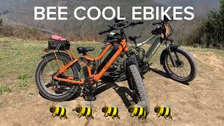 POWERFUL BEE COOL EBIKES  GREAT FOR SENIORS [upl. by Esirahc]