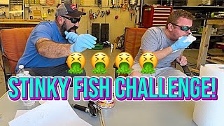 Stinky Fish Challenge Surströmming [upl. by Eiramanit770]