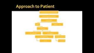 Interpretation of Pleural Effusion Analysis [upl. by Manolo]