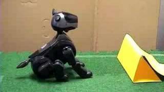 Combining Configural and TD Learning on a Robot XOR Demo [upl. by Jovitah848]