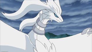 Pikachu y Reshiram  Pokémon Negro y Blanco Aventuras en Teselia y más allá  Clip oficial [upl. by Htenay]