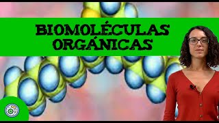 Biomoleculas organicas 🔬 ejemplos y funcion [upl. by Alfy]