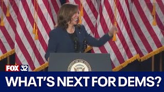 Whats next for Democrats after wave of support for Kamala Harris [upl. by Swor]