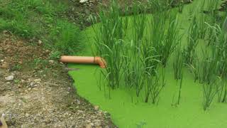 Domestic Constructed Wetlands System in Inishowen [upl. by Tenn]