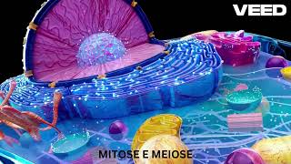 MITOSE E MEIOSE [upl. by Anoli]