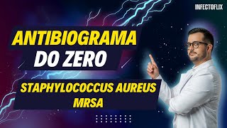 Dominando Antibiogramas do Zero  Staphylococcus aureus MRSA [upl. by Aennyl395]