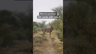 150 yards with a rifle👀 deer deerhunting hunting archery outdoors [upl. by Adnot]