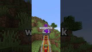 JAKI JEST NAJRZADSZY WAGONIK W MINECRAFT [upl. by Ardnuahc]