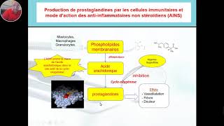 Anti inflammatoires non stéroïdiens Pr M KHERROUBI [upl. by Herschel]