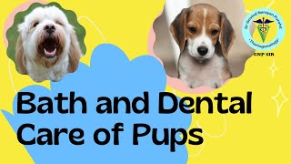 Bathing and Dental Care for Pups Comprehensive Guide for New Pet Owners [upl. by Tibbitts246]