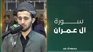 بعض الآيات من سورة آل عمران [upl. by Ahsinnek]