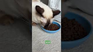 Natures Protection White Cat Food Review [upl. by Anoyi]