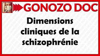 Dimensions cliniques de la schizophrénie [upl. by Avrenim366]