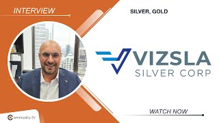 Vizsla Silver Straight Ahead Towards Production  Updated Resource Coming in Early 2025 [upl. by Eniamahs]