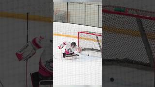 Goal or No hockey hockeylife hockeyplayer hockeyisforeveryone goal nogoal ref referee [upl. by Kcod981]