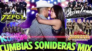 CUMBIAS SONIDERAS PERRONAS 💃🏻 EXITO SONIDERO 2024🎵 QUINTANNA LOS TEPOZ YULIOS KUMBIA KUMBIA NOVA [upl. by Towroy]