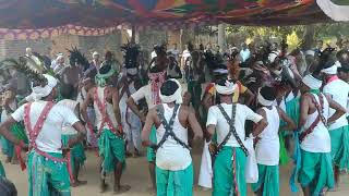 GODDA GANGTA KARAM 2024santhali santhalivideo santhaliculture 🌾🌾 [upl. by Ariamoy]