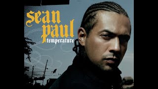 Sean Paul  Temperature  Afro Remix [upl. by Ylrebmic]