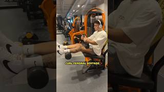 FEMORAL CURL FEMORAL SENTADO [upl. by Pardner203]