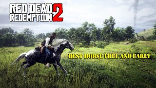 Get the Missouri Fox Trotter Early in CHAPTER 2 Red Dead Redemption 2 [upl. by Dacey]