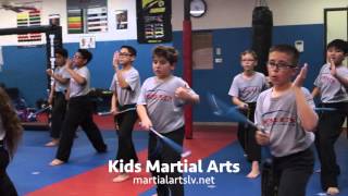 Results Martial Arts Kids Karate Commercial 2 [upl. by Nerty664]