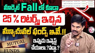 Sundara Rami Reddy  Small Cap Mutual Funds Analysis 2024  Share Market Crash🚨 mutualfunds stocks [upl. by Shanna348]