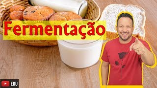 Fermentação  Bioenergética  Aula 3 [upl. by Etnaik]