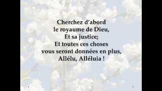 JEM 35 Cherchez dabord le royaume de Dieu Seek ye first the kingdom of God  French  先求祂的國 法语 [upl. by Clemen]