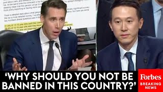 FIERY Josh Hawley Piteously Grills TikToks CEO At Senate Hearing On Online Child Safety [upl. by Pasquale351]