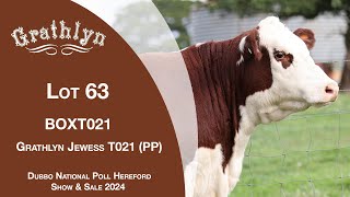 Lot 63 Grathlyn Jewess T021 PP [upl. by Drwde697]