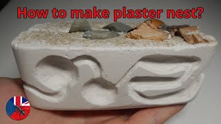 How to make compact formicarium  ALL IN ONE  Plaster Nest Tutorial [upl. by Llertnov]