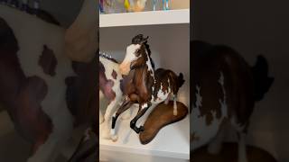 A few of the BreyerFest Special Runs in my collection that had variations breyerhorses modelhorse [upl. by Godspeed232]