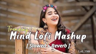 mind Relaxing lofi song lovemashup song abhi standuptranding now [upl. by Doughty]