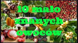 10 mało znanych owoców w Polsce [upl. by Mehetabel]