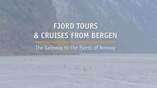 Fjord tours amp cruises in Bergen Norway [upl. by Aidnyl]