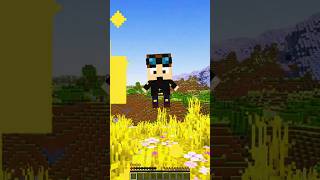 Custom Minecraft Totems of Iconic YouTubers minecraft shorts [upl. by Kneeland]