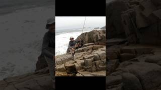 Corvina  pesca tiempodepesca fishing fishinglife youtube shorts shortvideo [upl. by Enttirb]