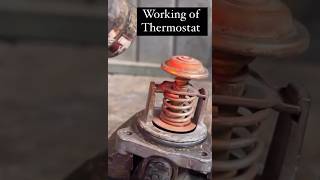 How Thermostat works automobile mechanic shorts lifehacks [upl. by Alvan]