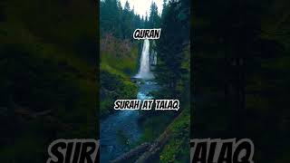 quranurdutranslation surahtalaq islamicvideo shortvideo jannatulfirdaus ytshorts youtube yt [upl. by Kingdon]