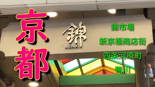 美味しい物いっぱい♬京都【前編】錦市場・新京極・鴨川・四条河原町 [upl. by Viddah]